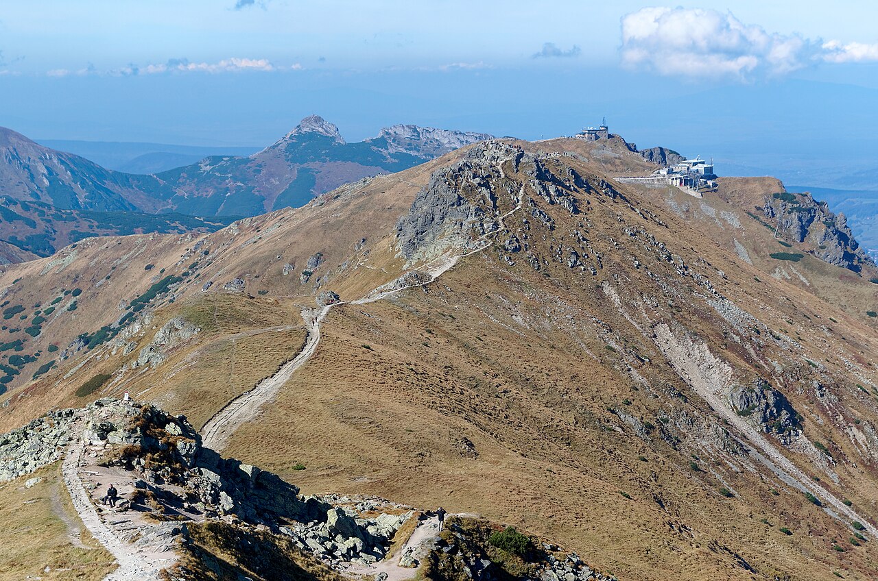 Liliowe, Beskid i Kasprowy Wierch